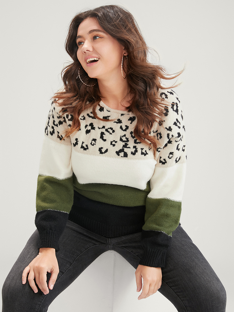 

Plus Size Leopard Colorblock Contrast Pointelle Knit Round Neck Knit Top Multicolor Women Casual Long Sleeve Round Neck Dailywear Pullovers BloomChic