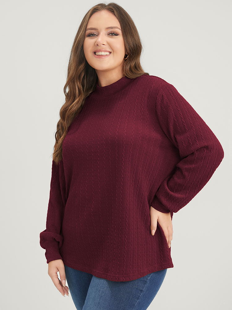 

Plus Size Solid Textured Mock Neck Sweatshirt Women Burgundy Casual Plain Mock Neck Dailywear Sweatshirts BloomChic