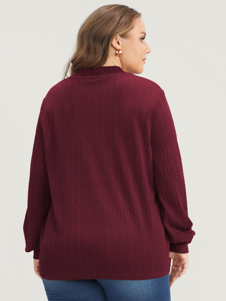 

Plus Size Solid Textured Mock Neck Sweatshirt Women Burgundy Casual Plain Mock Neck Dailywear Sweatshirts BloomChic