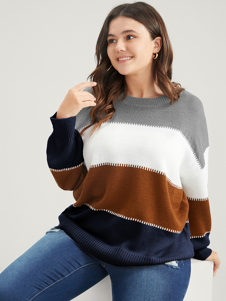 

Plus Size Colorblock Contrast Pointelle Knit Round Neck Knit Top DarkBlue Women Casual Long Sleeve Round Neck Dailywear Pullovers BloomChic