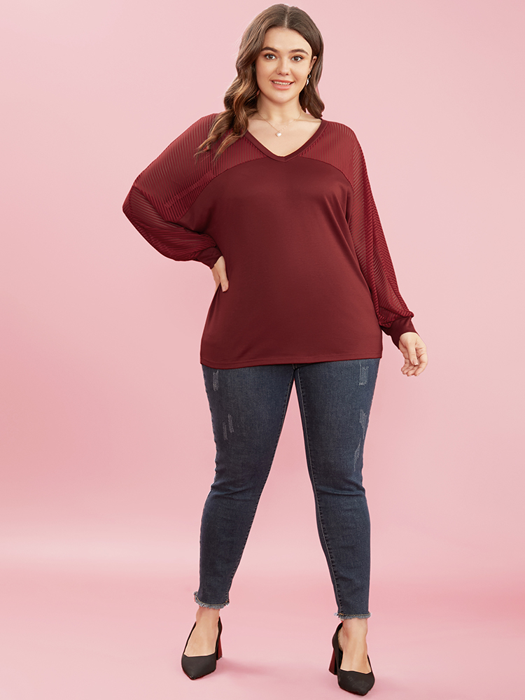 Plus Size Women Dailywear Plain See through Dolman Sleeve Long Sleeve Round Neck Elegant T-shirts BloomChic 