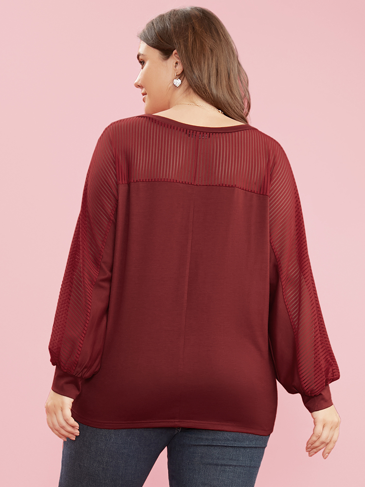 Plus Size Women Dailywear Plain See through Dolman Sleeve Long Sleeve Round Neck Elegant T-shirts BloomChic 
