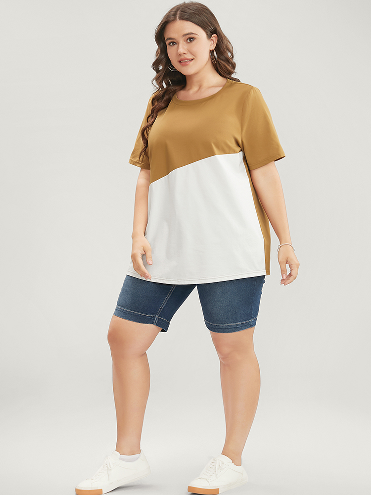 Plus Size Women Dailywear Colorblock Regular Sleeve Short sleeve Round Neck Casual T-shirts BloomChic 