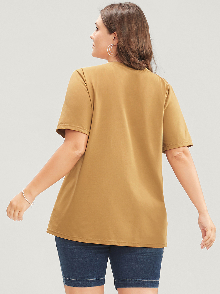 Plus Size Women Dailywear Colorblock Regular Sleeve Short sleeve Round Neck Casual T-shirts BloomChic 