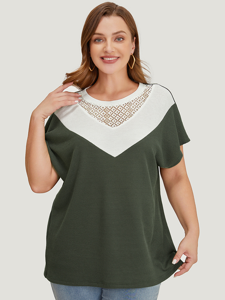 

Plus Size Colorblock Contrast Lace Waffle Knit Batwing Sleeve T-shirt Sage Women Elegant Contrast Colorblock Round Neck Dailywear T-shirts BloomChic