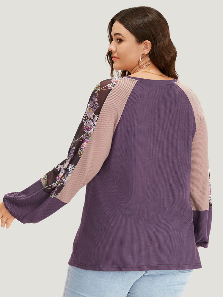 

Plus Size Floral Mesh Patchwork Lantern Sleeve Sweatshirt Women Multicolor Elegant Patchwork Round Neck Dailywear Sweatshirts BloomChic