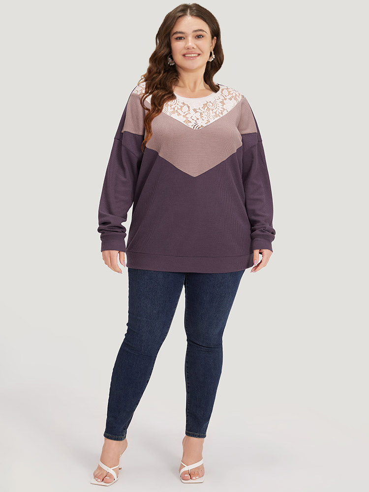 Plus Size Silhouette Floral Print Lace Patchwork Contrast Sweatshirt Women Multicolor Elegant Elastic cuffs Round Neck Dailywear Sweatshirts BloomChic 10/M 