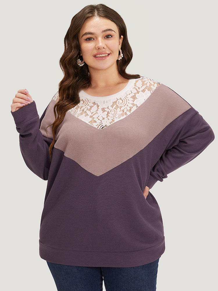 Plus Size Silhouette Floral Print Lace Patchwork Contrast Sweatshirt Women Multicolor Elegant Elastic cuffs Round Neck Dailywear Sweatshirts BloomChic 10/M 