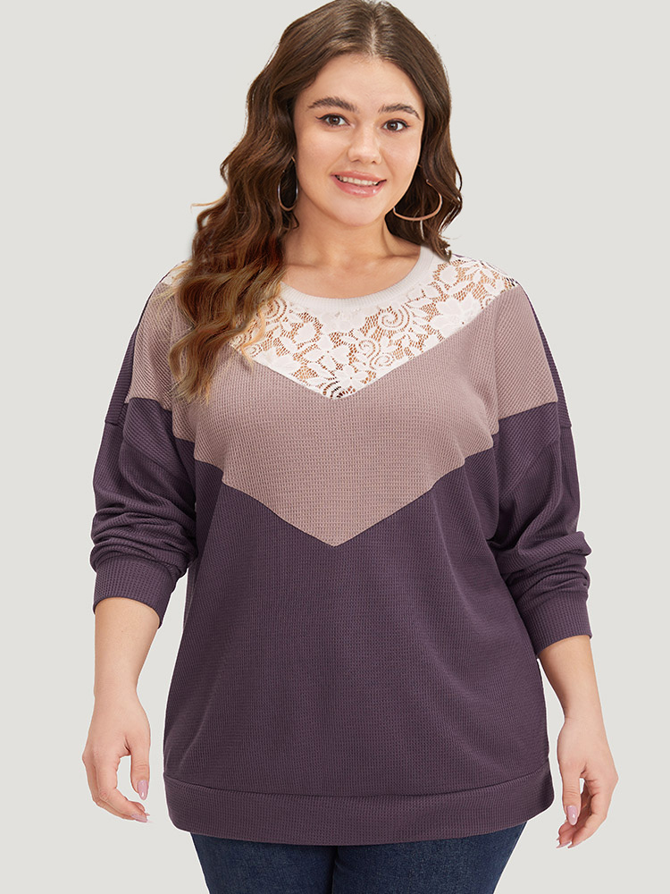 Plus Size Silhouette Floral Print Lace Patchwork Contrast Sweatshirt Women Multicolor Elegant Elastic cuffs Round Neck Dailywear Sweatshirts BloomChic 10/M 