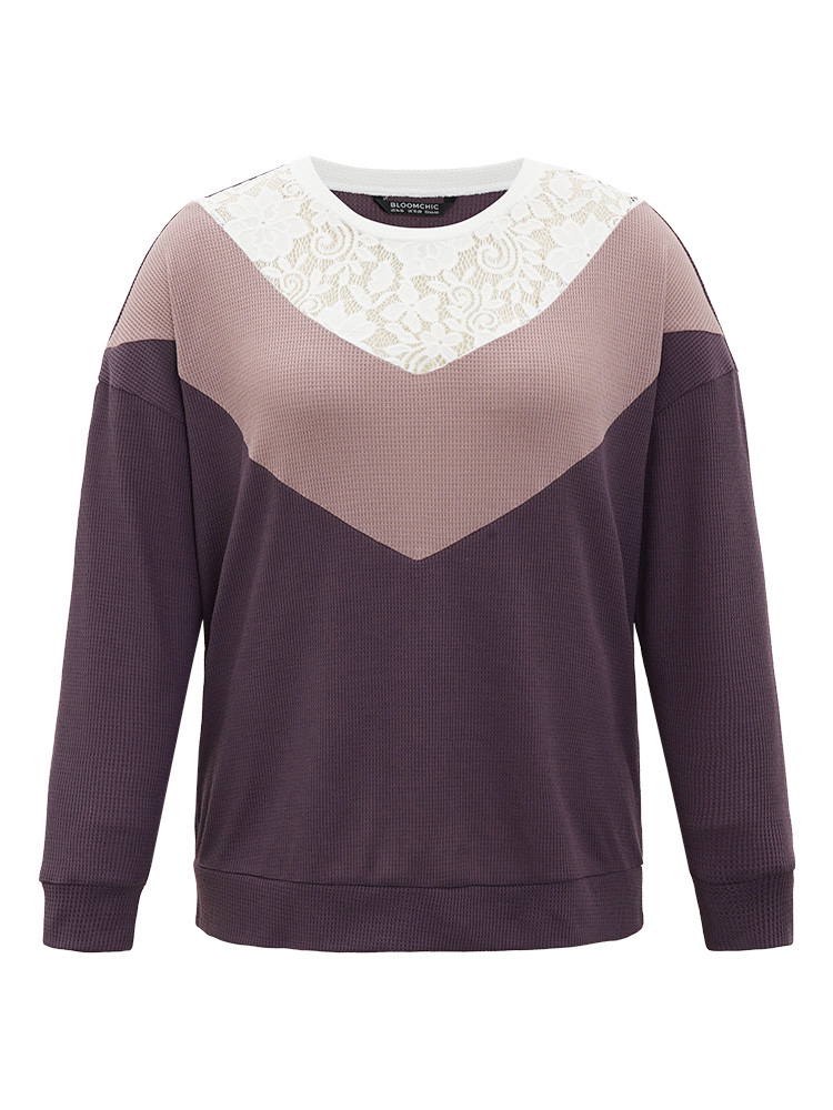 Plus Size Silhouette Floral Print Lace Patchwork Contrast Sweatshirt Women Multicolor Elegant Elastic cuffs Round Neck Dailywear Sweatshirts BloomChic 10/M 