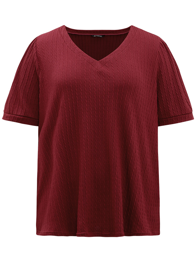 

Plus Size Plain Texture V Neck Gathered Lantern Sleeve T-shirt Burgundy Women Casual Texture Plain V-neck Dailywear T-shirts BloomChic