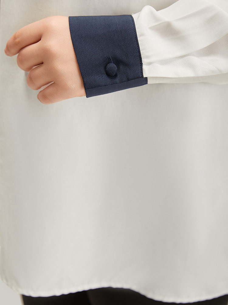 Plus Size Women Work Plain Pleated Regular Sleeve Long Sleeve V-neck Office Blouses BloomChic 