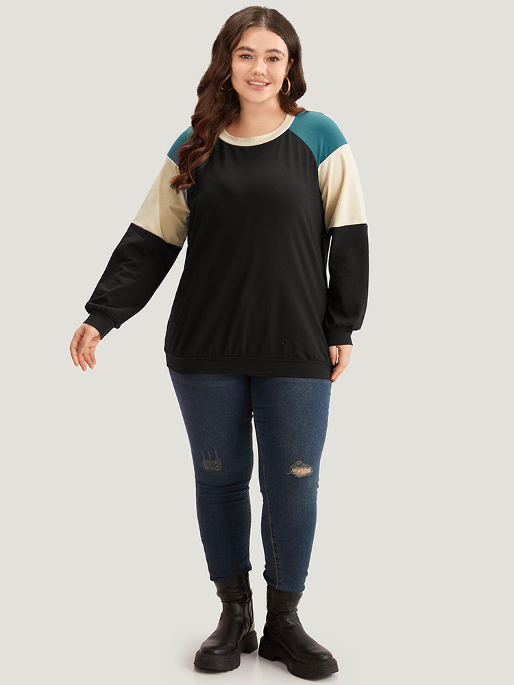 

Plus Size Colorblock Contrast Raglan Sleeve Sweatshirt Women Black Casual Elastic cuffs Round Neck Dailywear Sweatshirts BloomChic