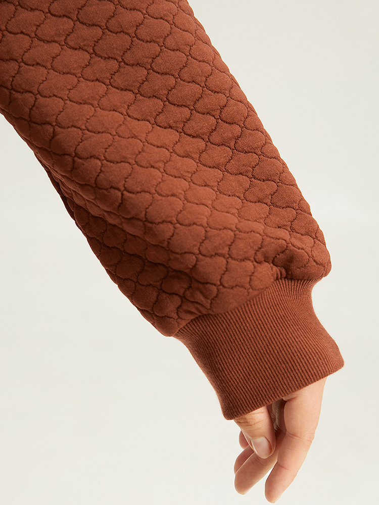 Plus Size Women Dailywear Plain Elastic cuffs Regular Regular Sleeve Long Sleeve Round Neck Elegant Sweatshirts BloomChic 