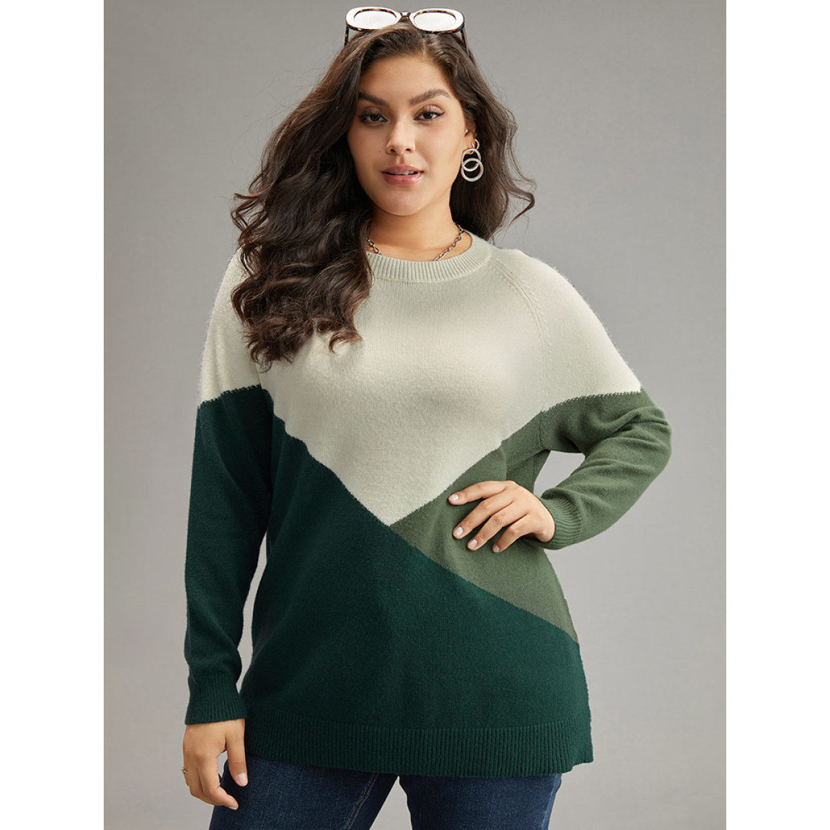 

Plus Size Supersoft Essentials Colorblock Raglan Sleeve Pullover Multicolor Women Casual Loose Long Sleeve Round Neck Dailywear Pullovers BloomChic
