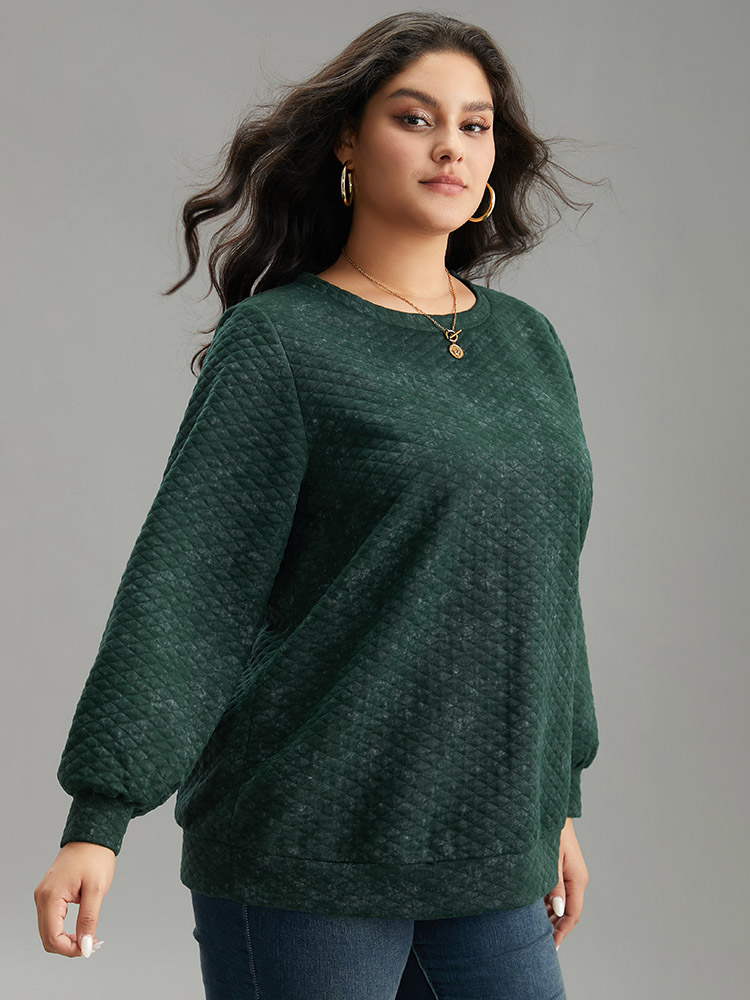 Plus Size Plain Textured Round Neck Sweatshirt Women Green Casual Texture Round Neck Dailywear Sweatshirts BloomChic 28/5X 