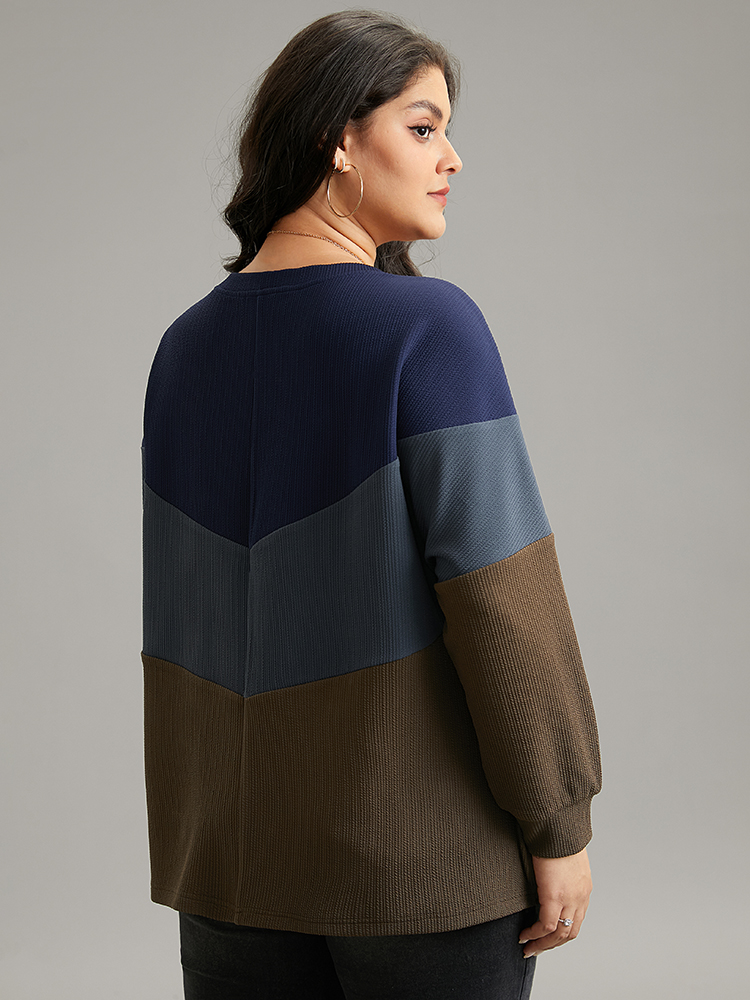 Plus Size Women Dailywear Plain Contrast Regular Regular Sleeve Long Sleeve Round Neck Casual Sweatshirts BloomChic 