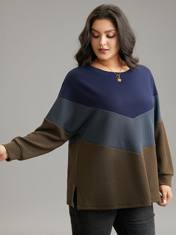 Plus Size Women Dailywear Plain Contrast Regular Regular Sleeve Long Sleeve Round Neck Casual Sweatshirts BloomChic 