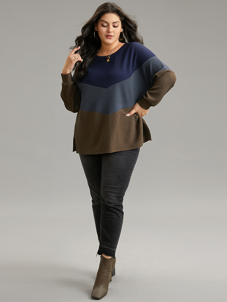 Plus Size Women Dailywear Plain Contrast Regular Regular Sleeve Long Sleeve Round Neck Casual Sweatshirts BloomChic 