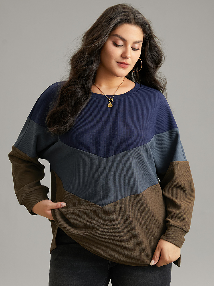 Plus Size Women Dailywear Plain Contrast Regular Regular Sleeve Long Sleeve Round Neck Casual Sweatshirts BloomChic 