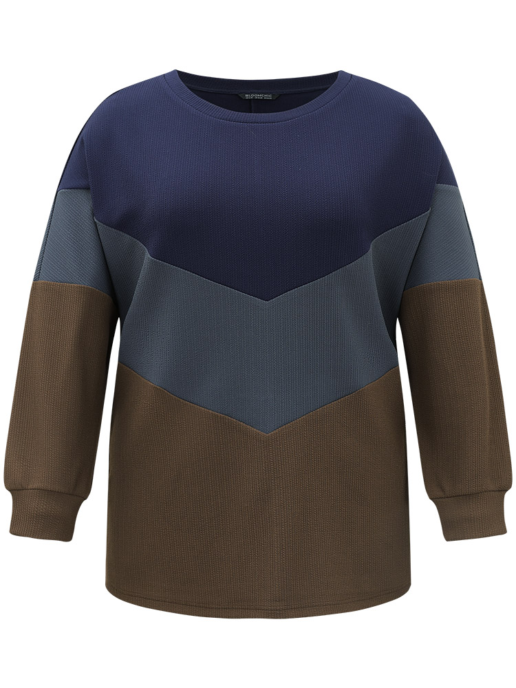 Plus Size Women Dailywear Plain Contrast Regular Regular Sleeve Long Sleeve Round Neck Casual Sweatshirts BloomChic 