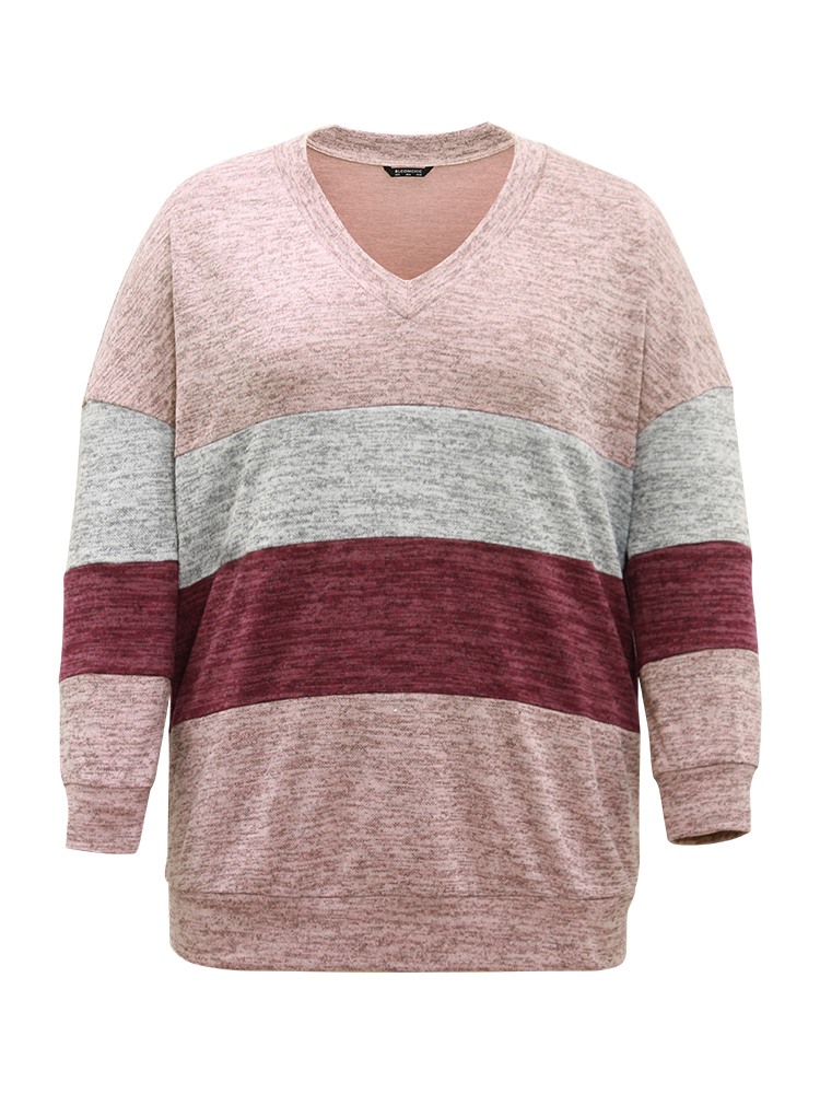 Plus Size Women Dailywear Colorblock Heather Regular Regular Sleeve Long Sleeve V-neck Casual Sweatshirts BloomChic 