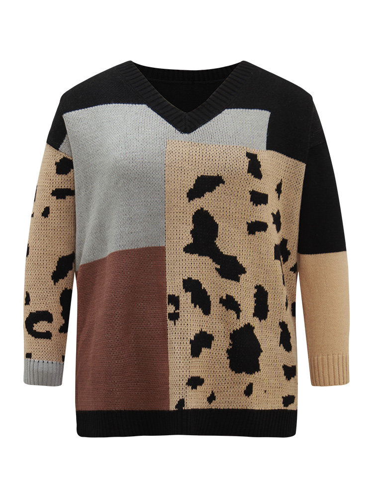 

Plus Size Leopard Colorblock Contrast Pullover Black Women Casual Loose Long Sleeve V-neck Everyday Pullovers BloomChic