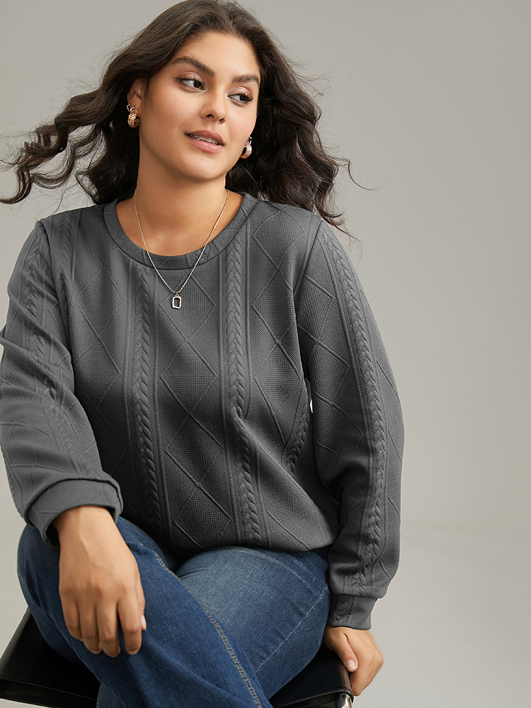 Plus Size Plain Textured Round Neck Sweatshirt Women Gray Casual Non Round Neck Everyday Sweatshirts BloomChic 10/M 