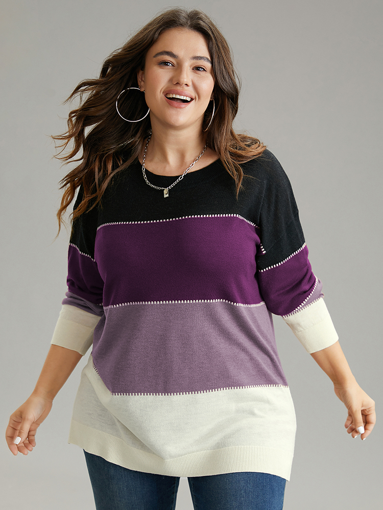 

Plus Size Supersoft Essentials Colorblock Contrast Round Neck Pullover Purple Women Casual Loose Long Sleeve Round Neck Everyday Pullovers BloomChic