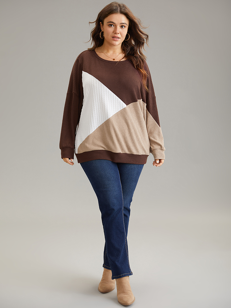 Plus Size Women Dailywear Plain Patchwork Regular Regular Sleeve Long Sleeve Round Neck Casual Sweatshirts BloomChic 