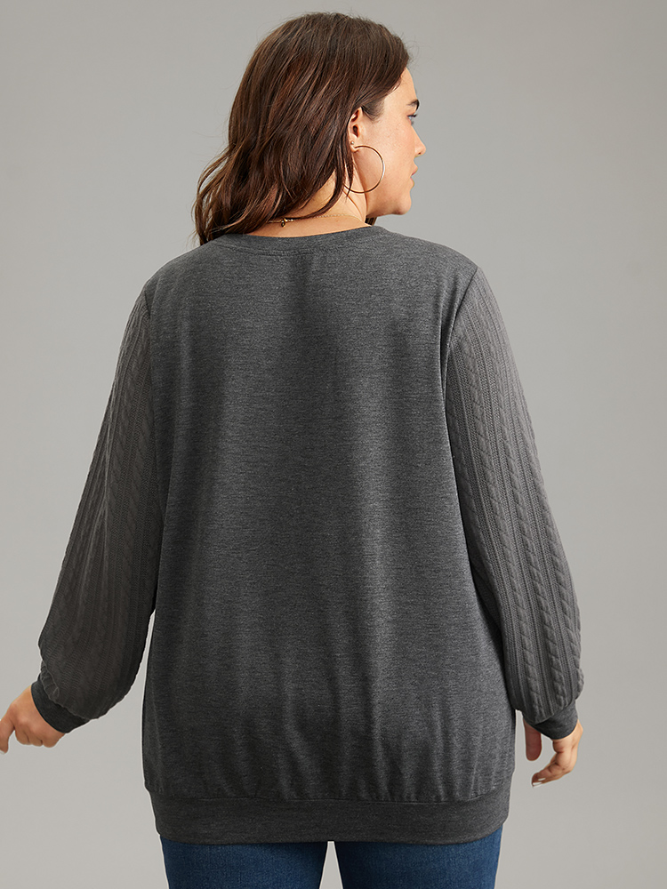 Plus Size Women Dailywear Plain Texture Regular Regular Sleeve Long Sleeve Round Neck Elegant Sweatshirts BloomChic 