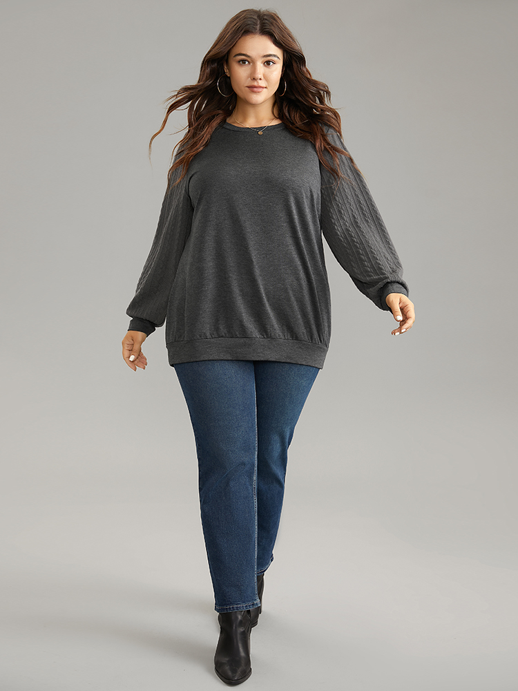 Plus Size Women Dailywear Plain Texture Regular Regular Sleeve Long Sleeve Round Neck Elegant Sweatshirts BloomChic 