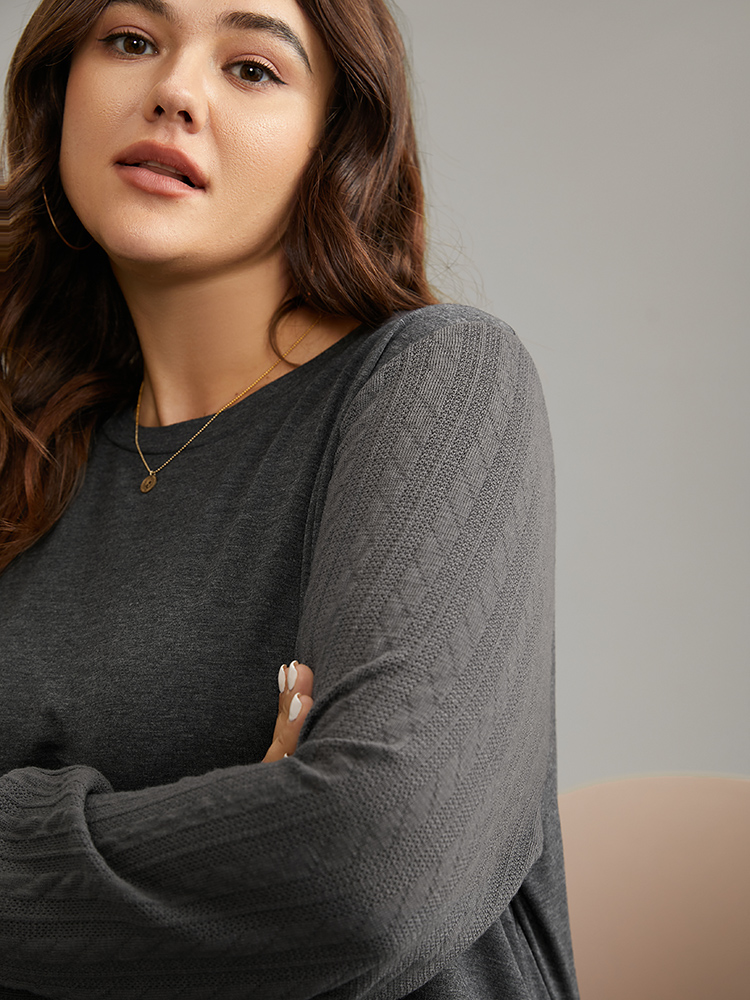 Plus Size Women Dailywear Plain Texture Regular Regular Sleeve Long Sleeve Round Neck Elegant Sweatshirts BloomChic 