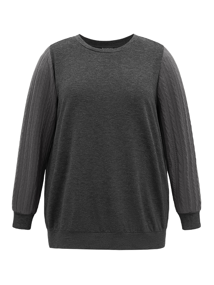 Plus Size Women Dailywear Plain Texture Regular Regular Sleeve Long Sleeve Round Neck Elegant Sweatshirts BloomChic 