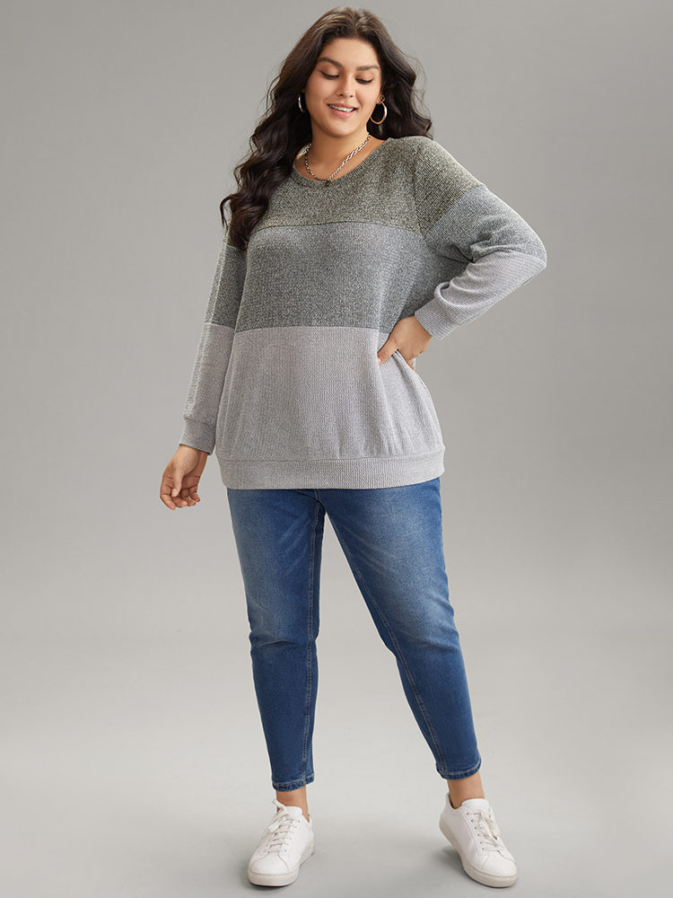 Plus Size Women Dailywear Plain Heather Regular Regular Sleeve Long Sleeve Round Neck Casual Sweatshirts BloomChic 