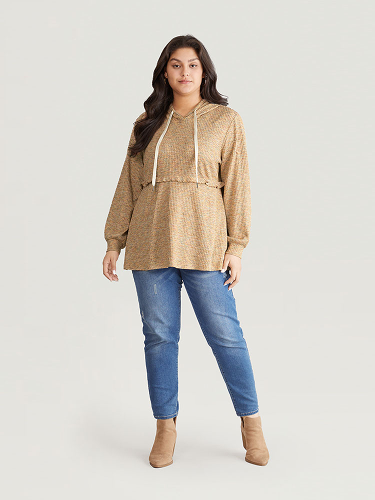 Plus Size Women Dailywear Plain Texture Regular Regular Sleeve Long Sleeve Hooded Casual Sweatshirts BloomChic 