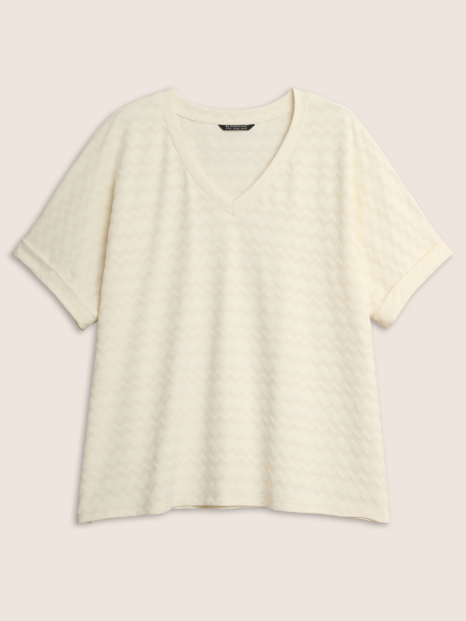 Plus Size V Neck Plain Textured Batwing Sleeve T-shirt Beige Women Casual Texture V-neck Everyday T-shirts BloomChic 18-20/2X 