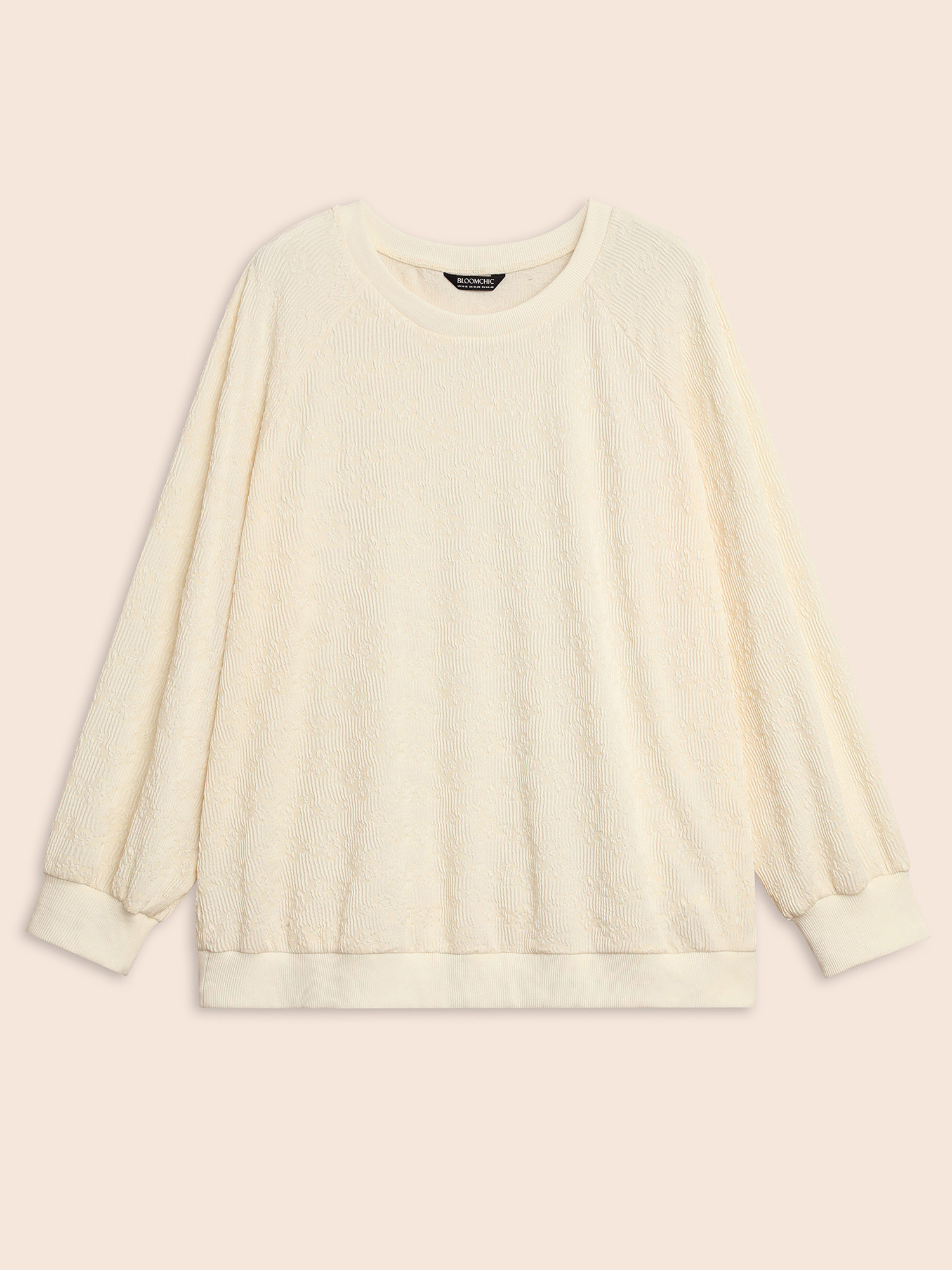 Plus Size Crew Neck Plain Textured Raglan Sleeve Sweatshirt Women Beige Elegant Texture Round Neck Everyday Sweatshirts BloomChic 18-20/2X 