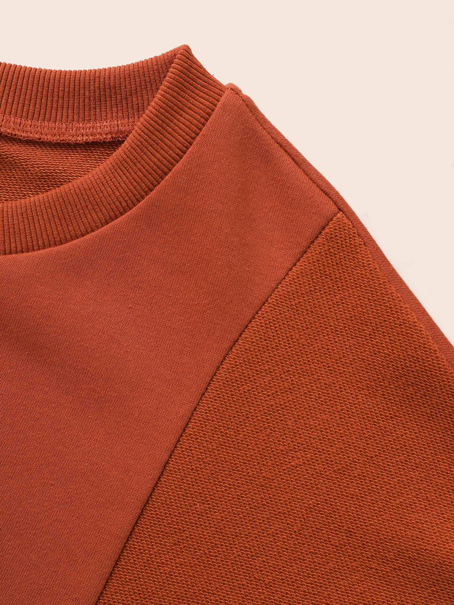 Plus Size Round Neck Patchwork Drop Shoulder Sweatshirt Women Rust Casual Patchwork Round Neck Everyday Sweatshirts BloomChic 22-24/3X 