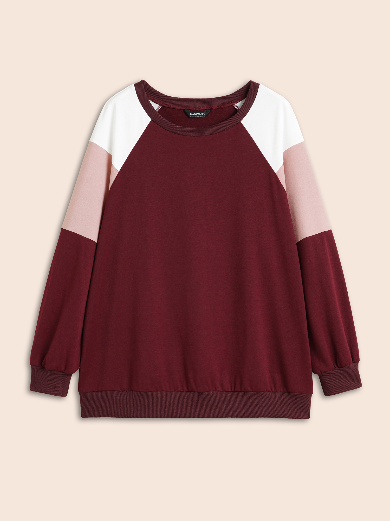 

Plus Size Colorblock Contrast Raglan Sleeve Sweatshirt Women Multicolor Casual Contrast Round Neck Everyday Sweatshirts BloomChic