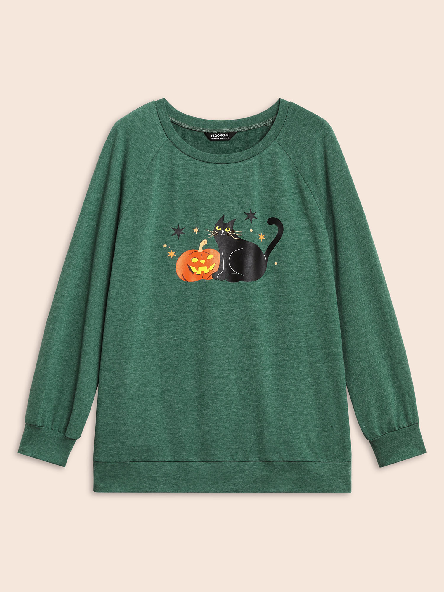 

Plus Size Festive Cat And Pumkin Raglan Sweatshirt Women Emerald Casual Non Round Neck Everyday Sweatshirts BloomChic