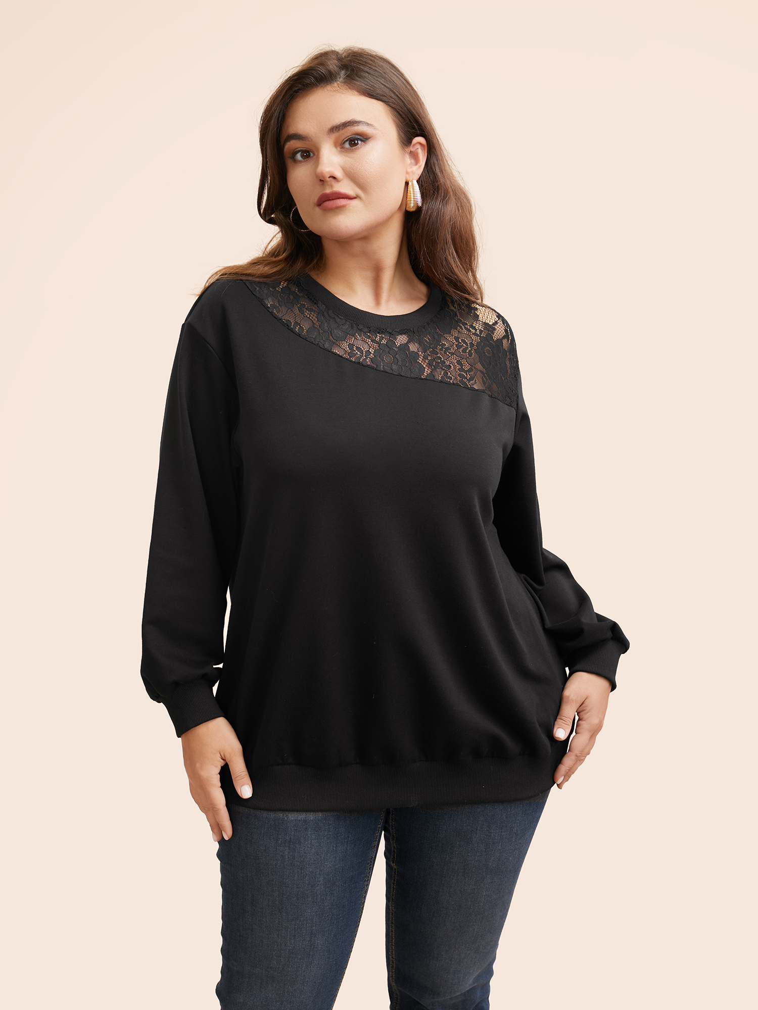 

Plus Size Crochet Lace Mesh Round Neck Sweatshirt Women Black Elegant See through Loose Round Neck Everyday Sweatshirts BloomChic