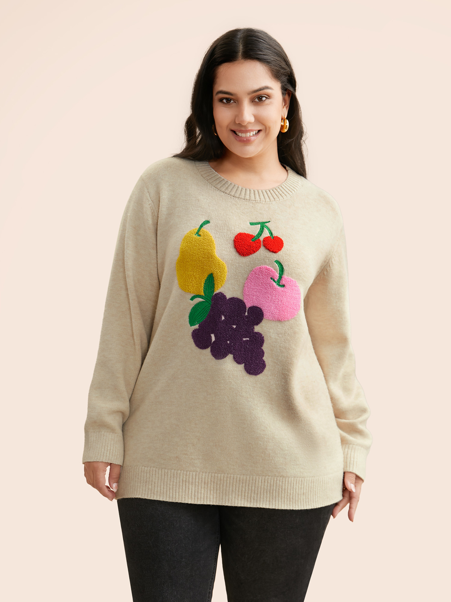 

Plus Size Supersoft Essentials Crew Neck Fruit Embroidered Pullover Apricot Women Casual Long Sleeve Round Neck Everyday Pullovers BloomChic