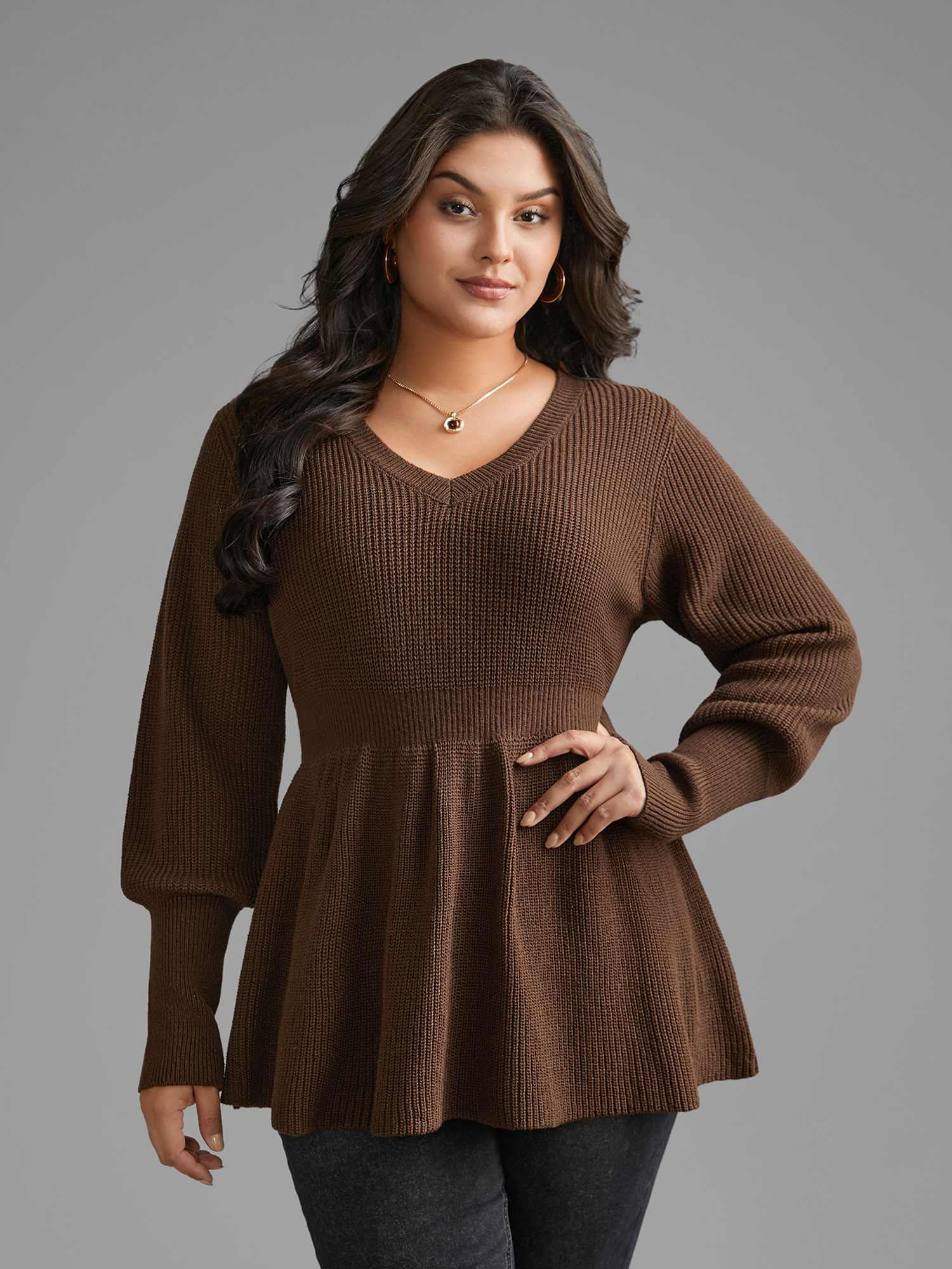 

Plus Size Plain V Neck Lantern Sleeve Pullover Browncoffeecolor Women Casual Loose Long Sleeve V-neck Everyday Pullovers BloomChic