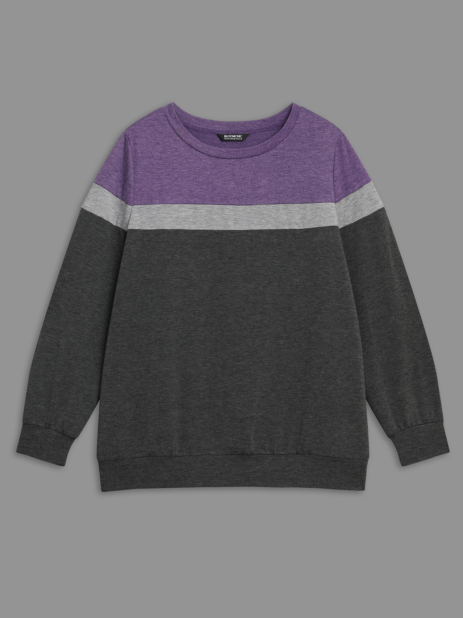 Plus Size Colorblock Contrast Round Neck Sweatshirt Women DimGray Casual Contrast Loose Round Neck Everyday Sweatshirts BloomChic 28/5X 