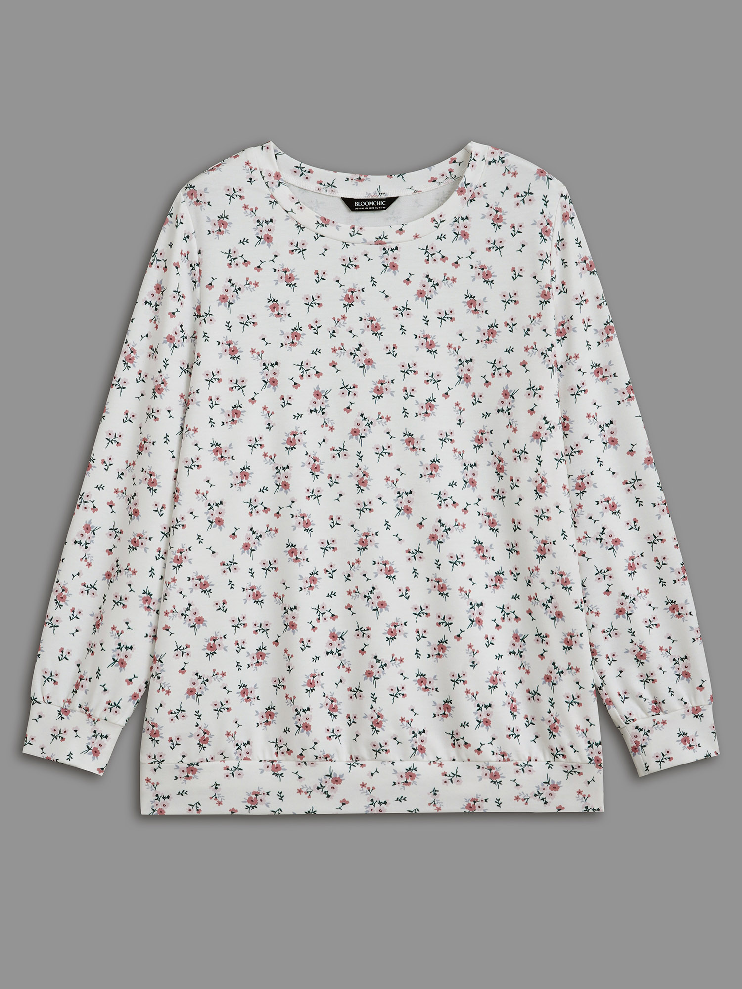 Plus Size Ditsy Floral Round Neck Sweatshirt Women Multicolor Casual Contrast Loose Round Neck Everyday Sweatshirts BloomChic 22-24/3X 