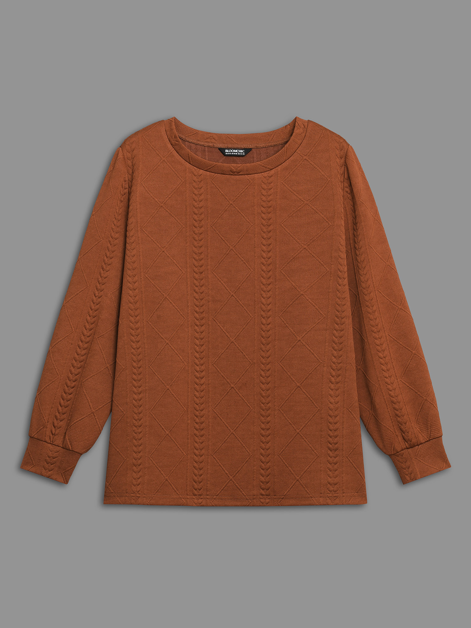 

Plus Size Textured Round Neck Stretchy Sweatshirt Women Rust Casual Texture Round Neck Everyday Sweatshirts BloomChic