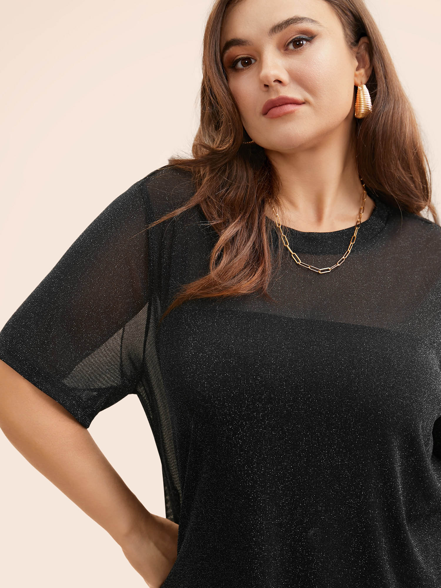 Plus Size Round Neck Luxe Mesh T-shirt Black Women Elegant See through Round Neck Everyday T-shirts BloomChic 12/L 