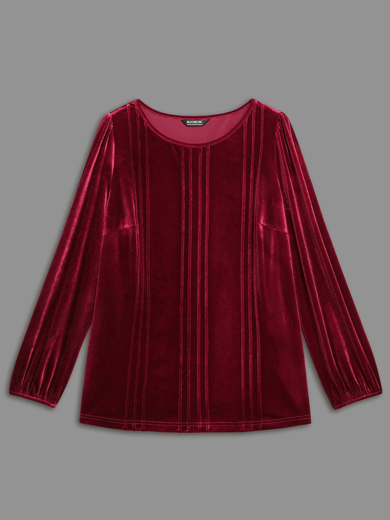 

Plus Size Scarlet Plain Round Neck Gathered Velvet Blouse Women Elegant Long Sleeve Round Neck Everyday Blouses BloomChic