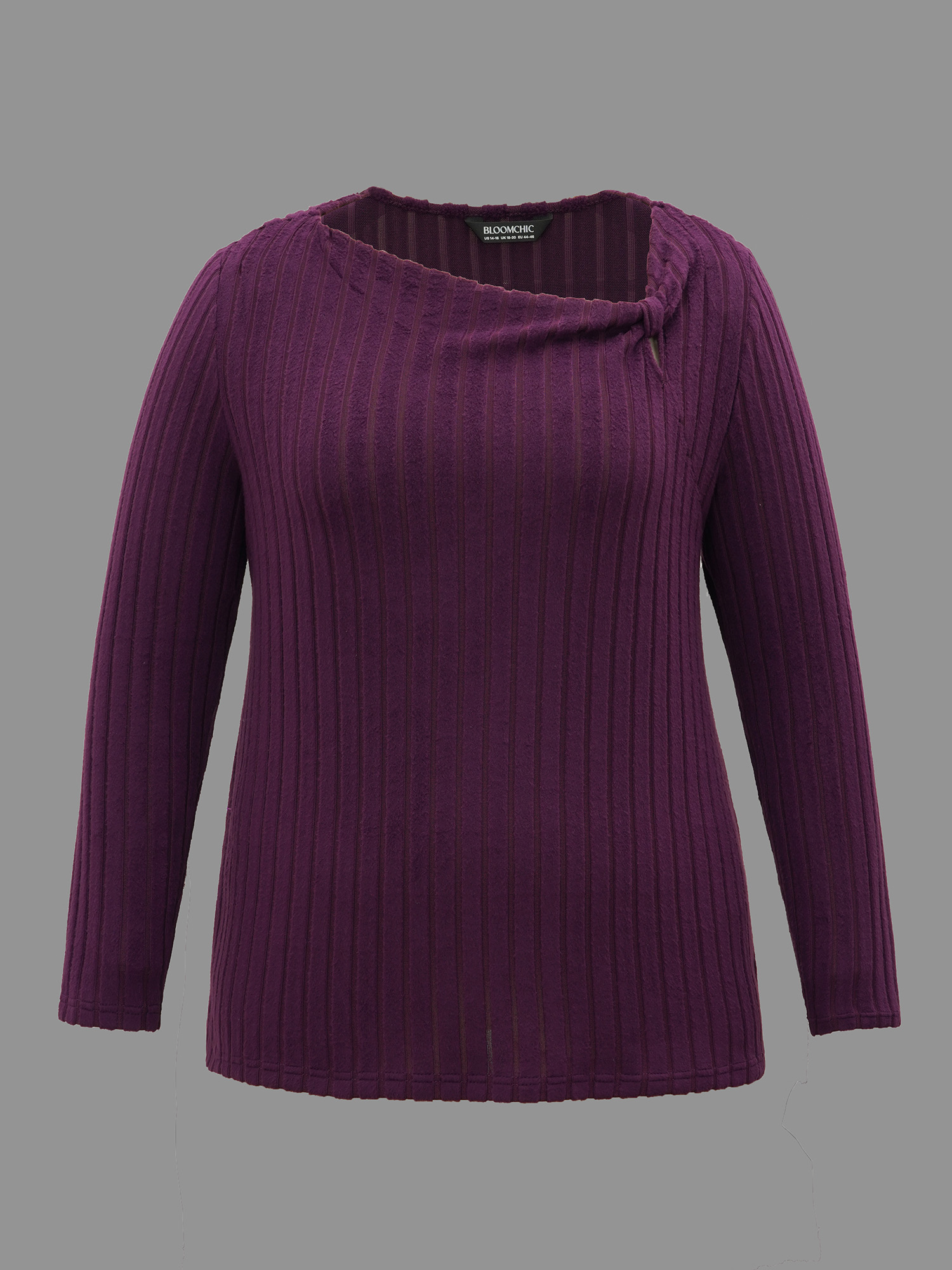 Plus Size Textured Twisted Asymmetric Neck T-Shirt Eggplant Women Elegant Twist Asymmetrical Neck Everyday T-shirts BloomChic 28/5X 